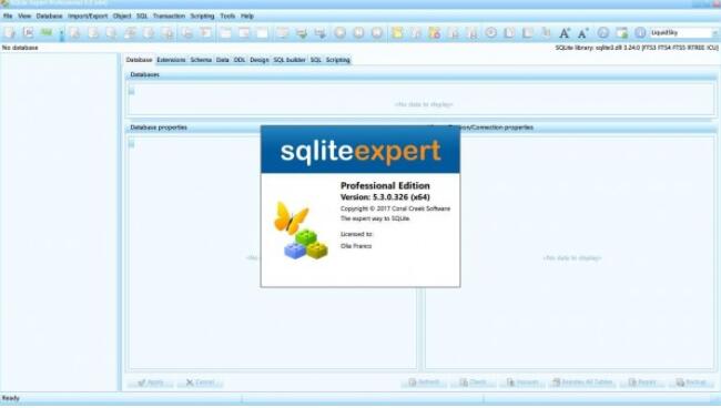 SQLite Expert Professional x64ͼ1