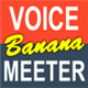 Voicemeeter Bananav2.1ٷʽ