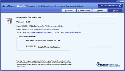 DataNumen Oracle Recoveryͼ1