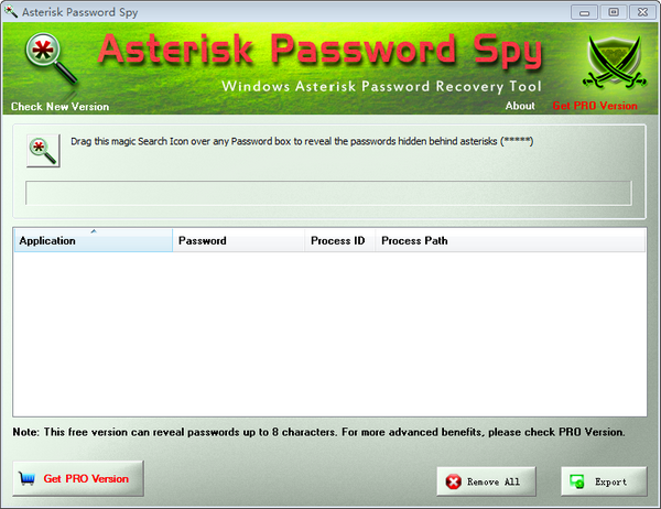 Asterisk Password Spyͼ1