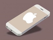 ƻֻApp Store΢֧ľ