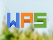 WPS2019нļָľ