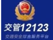 12123 APPе¼ľ