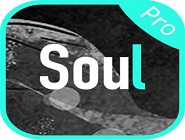 soulдľ