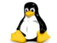 Linux Kernel 5.8ĵһѡ汾ǳ