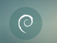 Debian 9.13ӭ 