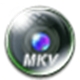 Brorsoft MKV Converterv1.4.5.0ٷʽ