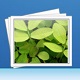 iPubsoft Photo Recoveryv2.2.16ٷʽ