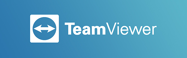 TeamViewerv13.1.3629