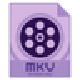 Dimo MKV Video Converterv4.6.1ٷʽ