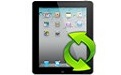 4Media iPad Max Platinum