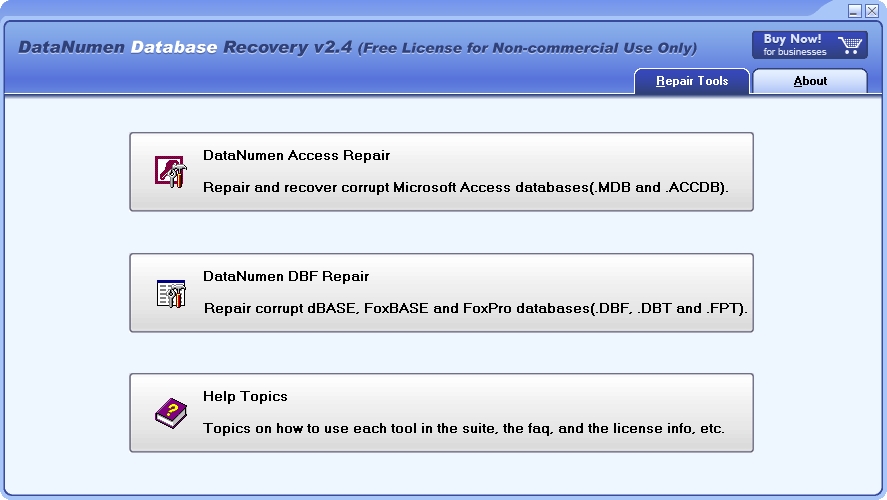 DataNumen Database Recoveryͼ1